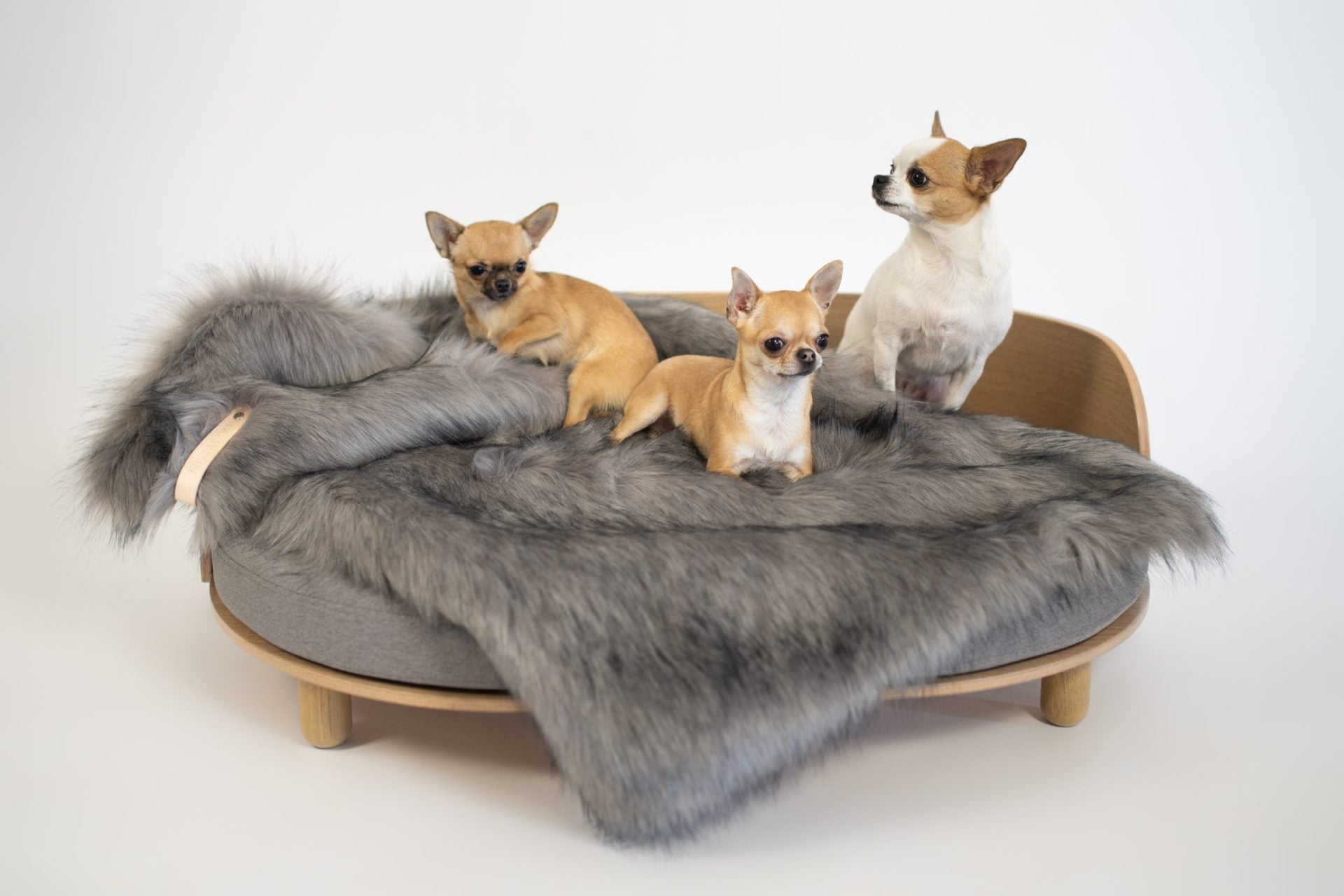 Föra Blanket