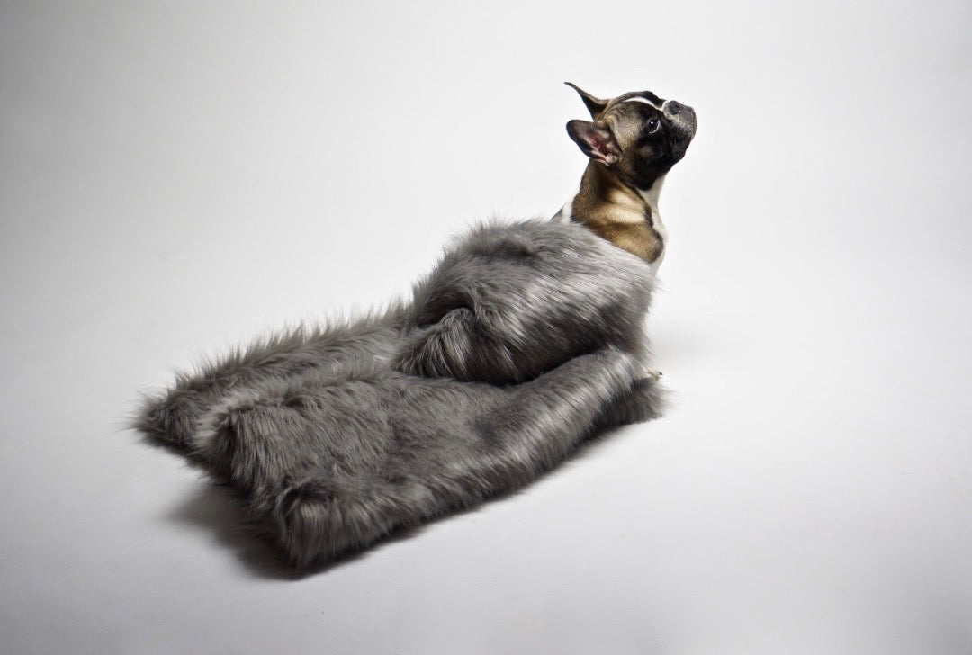 Föra Blanket