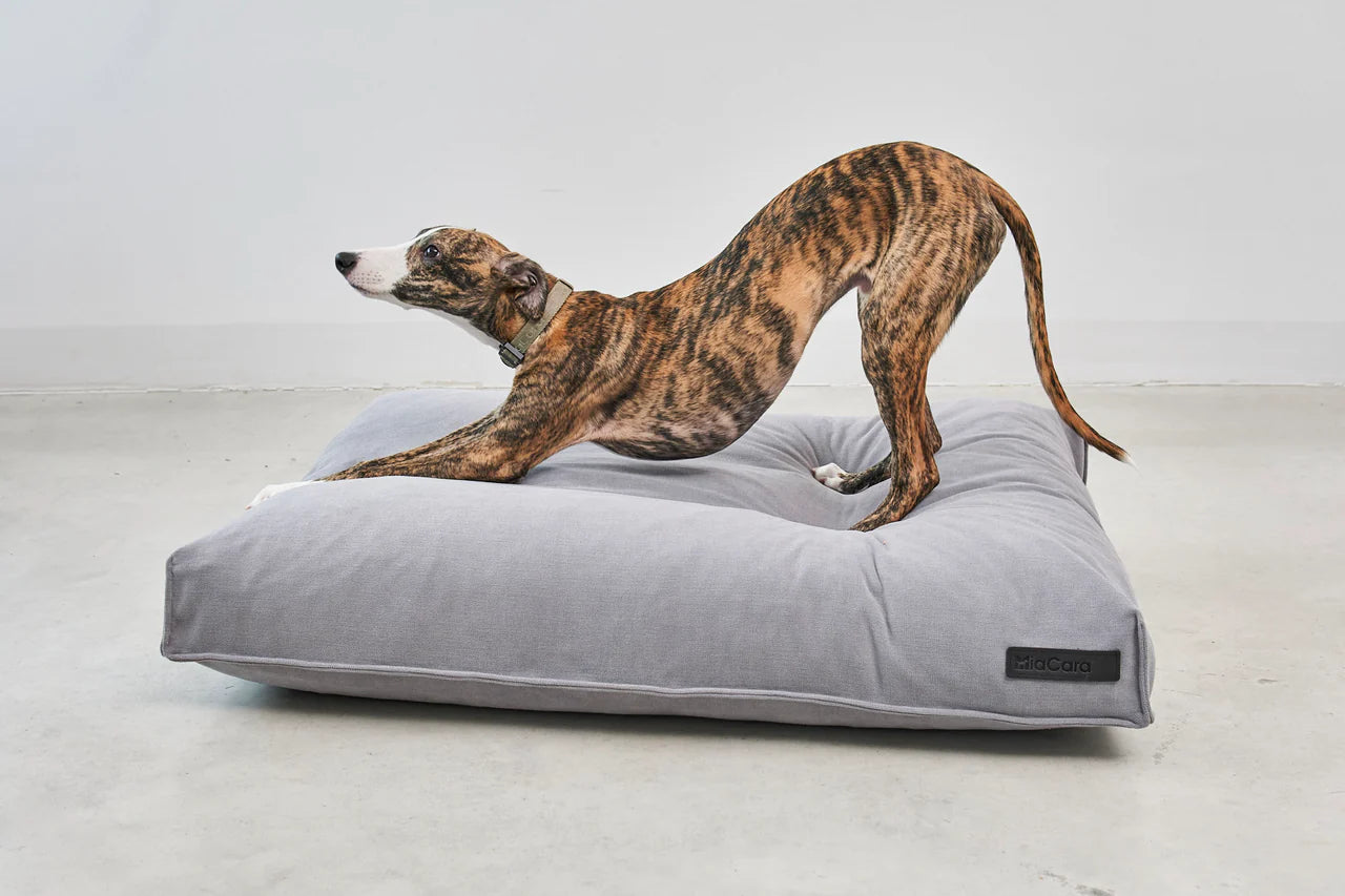 Comodo - Dog Cushion