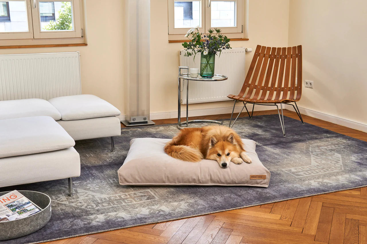 Comodo - Dog Cushion