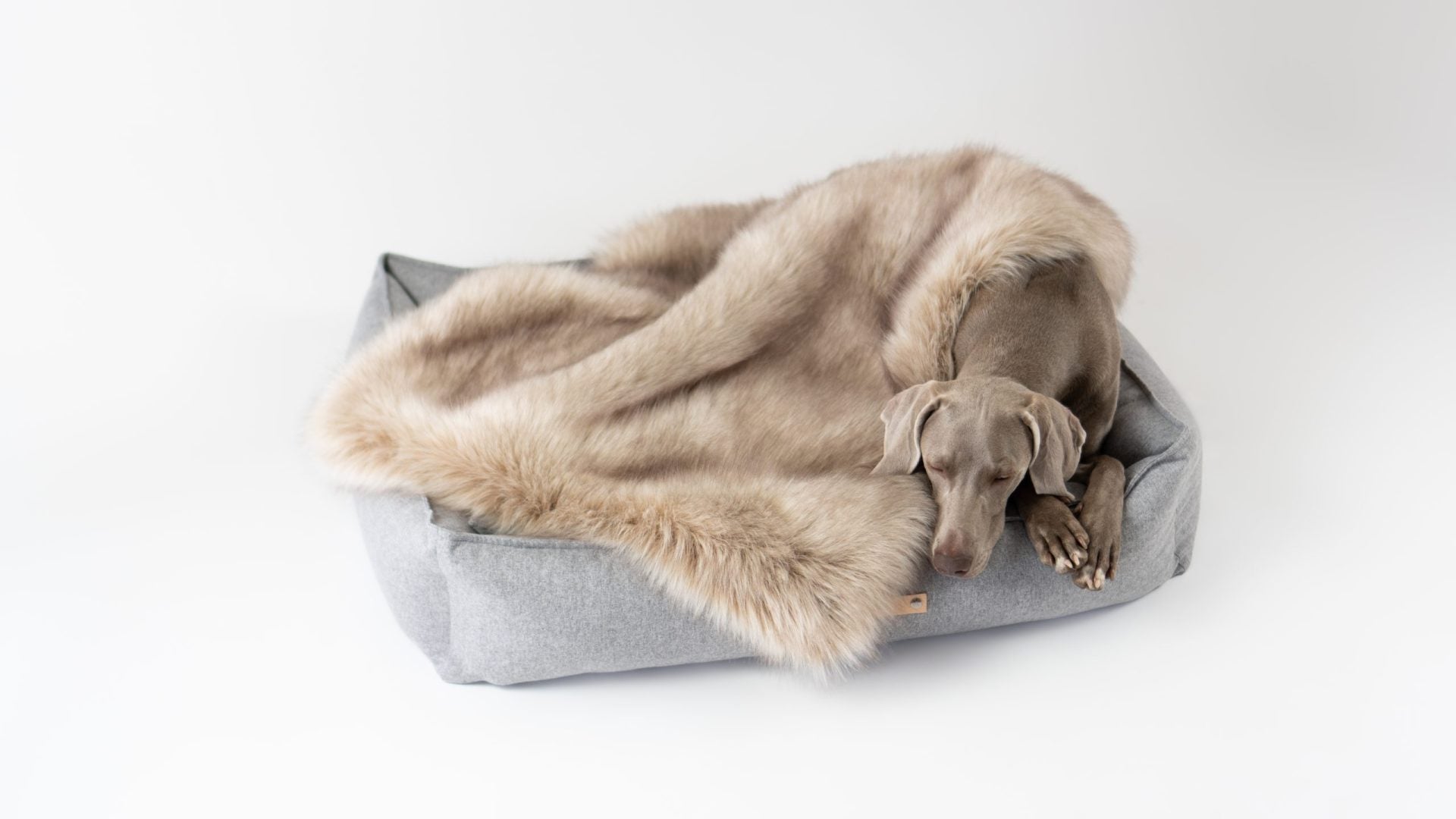 Föra Blanket