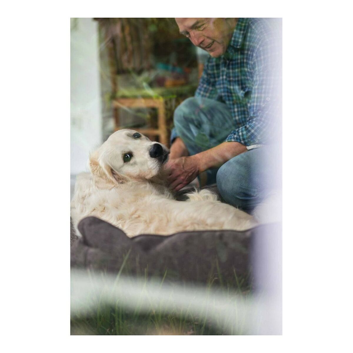 Dog Sofa Hunter Boston Brown (60 x 50 cm)-2