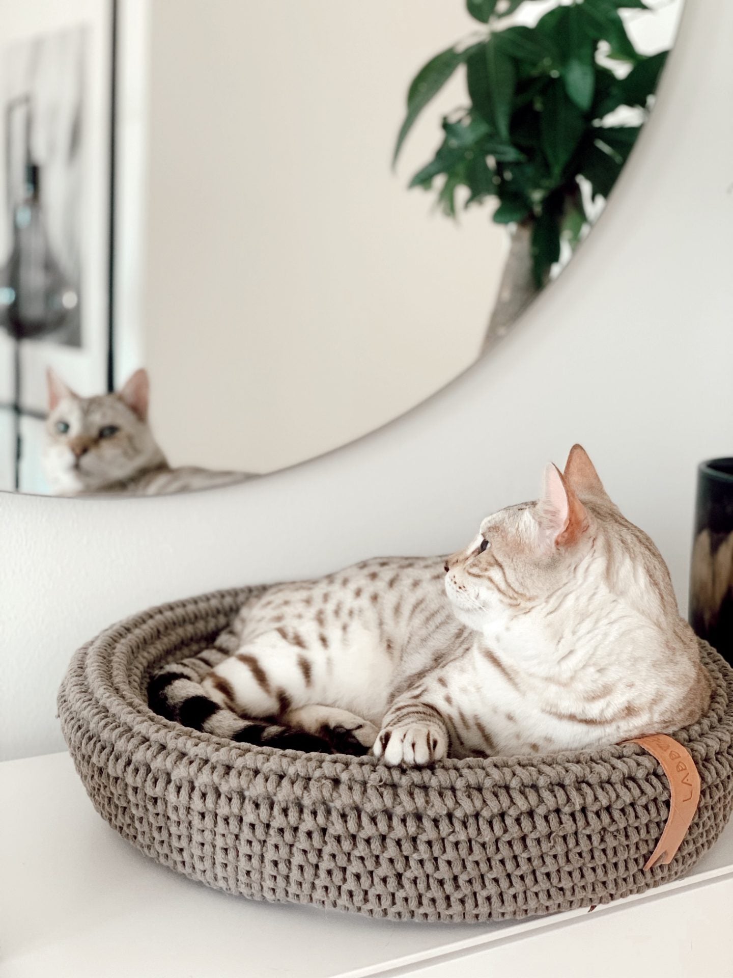 Coco Cat Basket