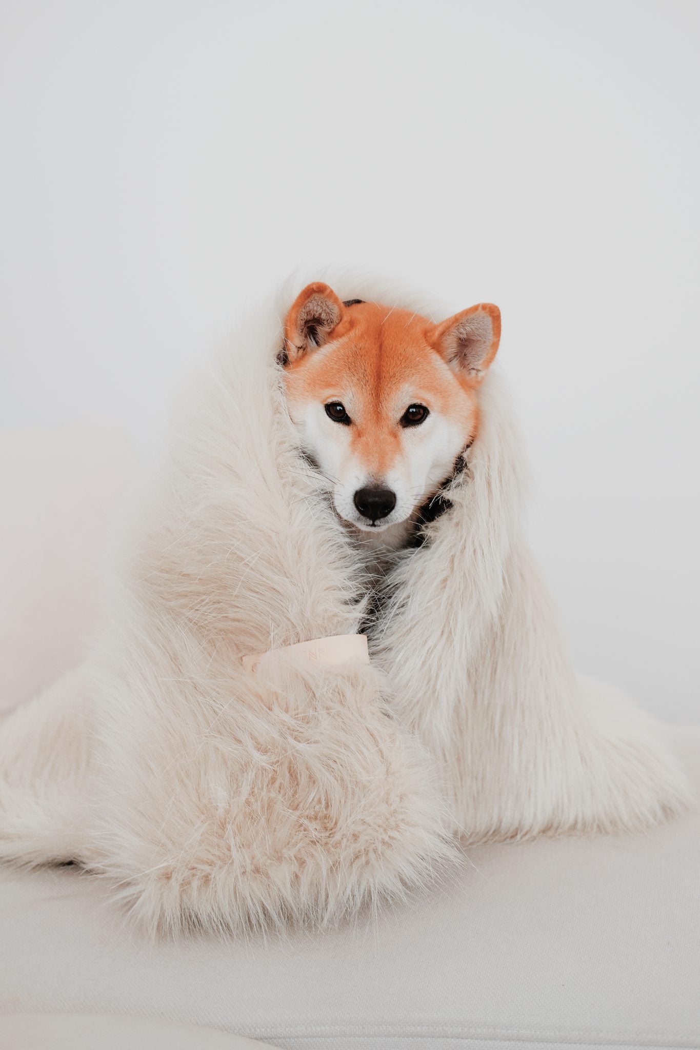 Föra Blanket