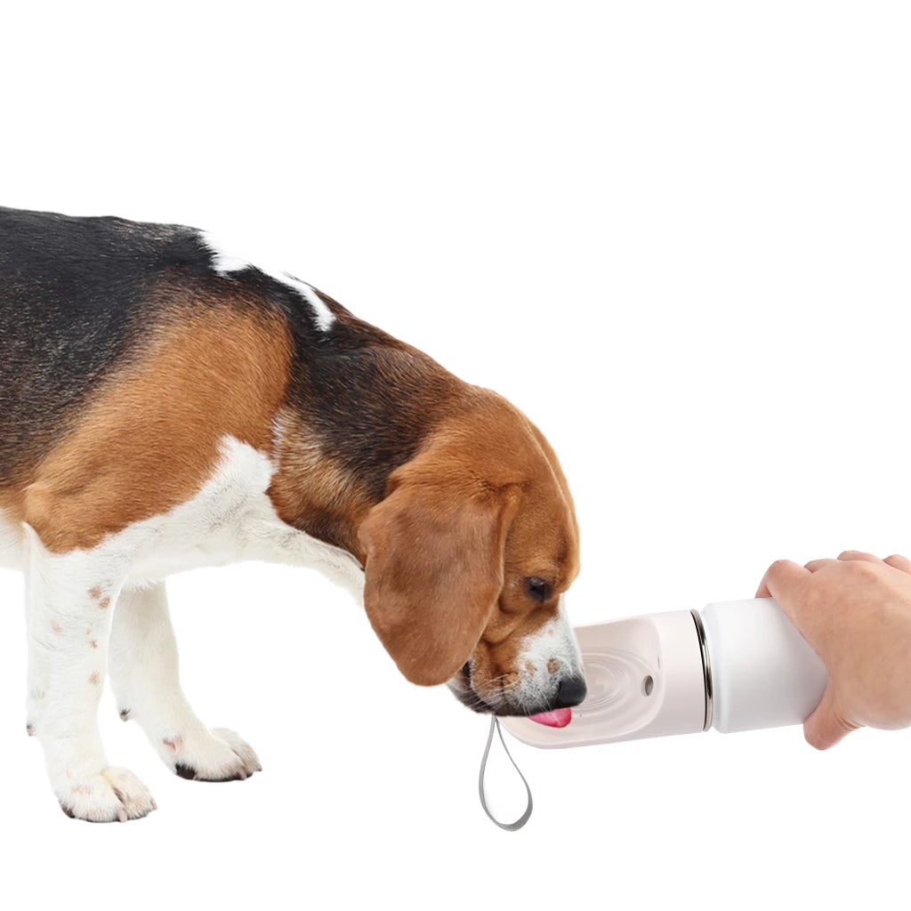 AFP 2 In 1 Stainless