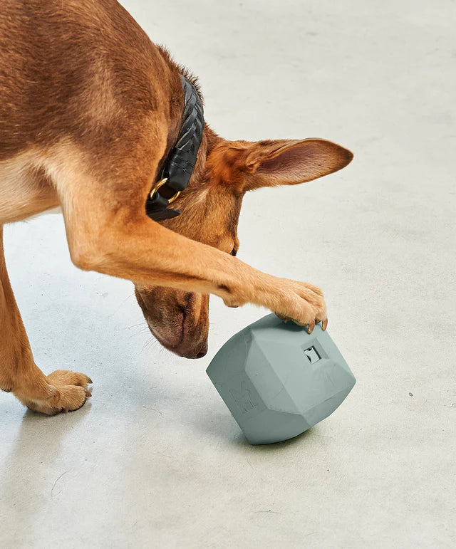 Dado - Dog Activity Toy