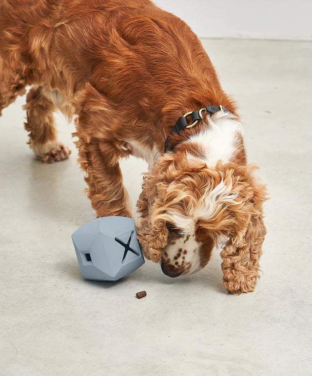 Dado - Dog Activity Toy