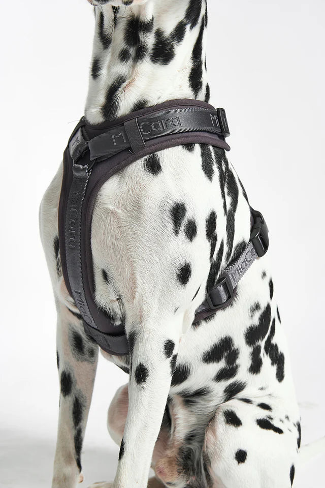 Modena - Dog Harness