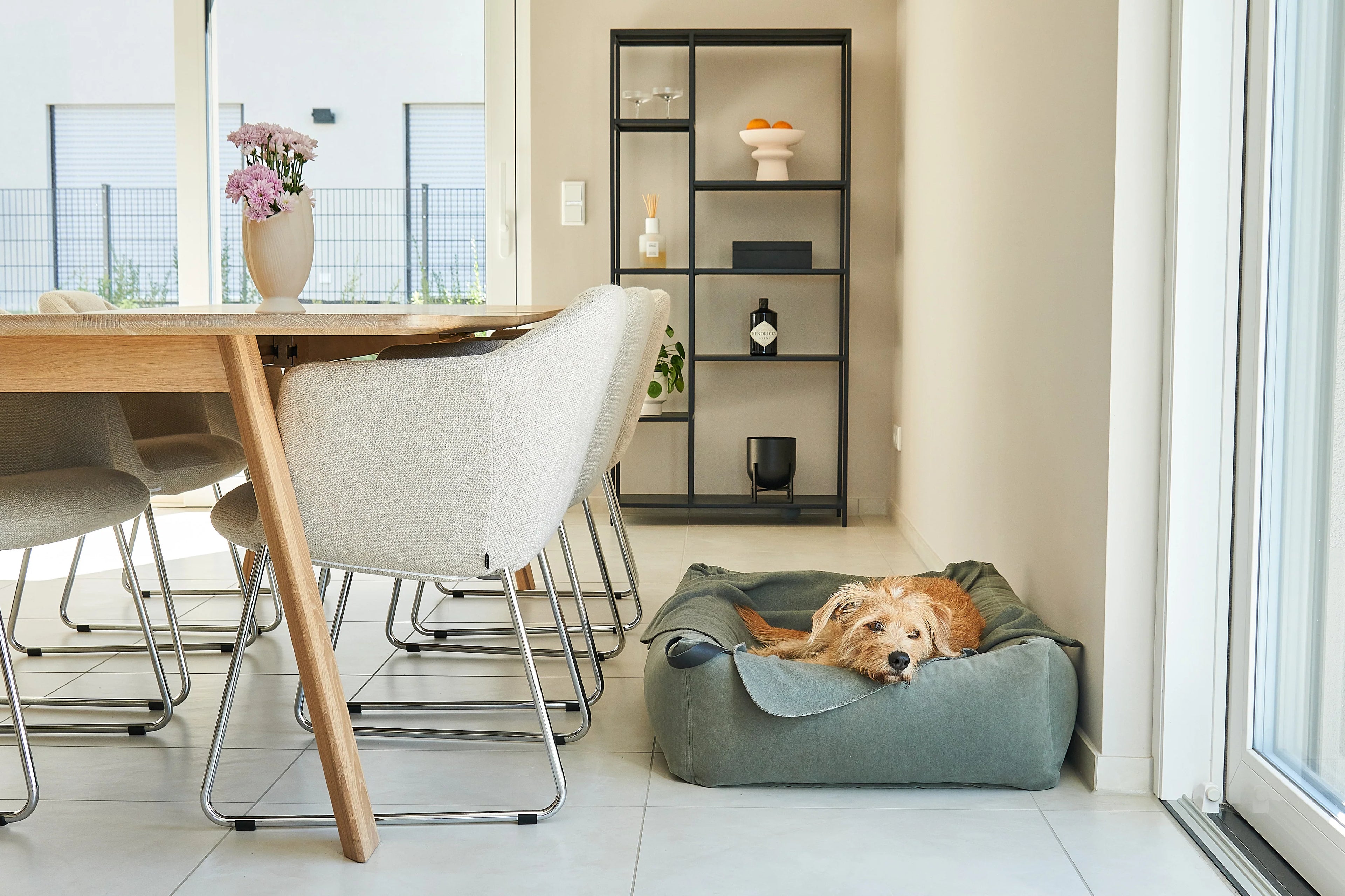 Unica - Dog Blanket
