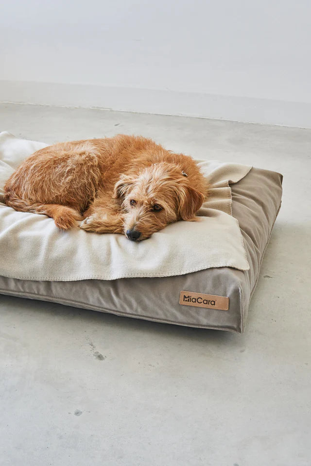 Unica - Dog Blanket