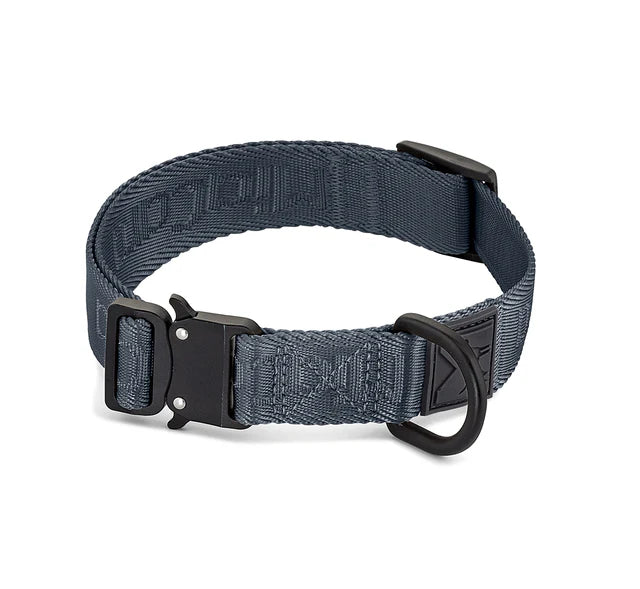 Modena - Dog Collar