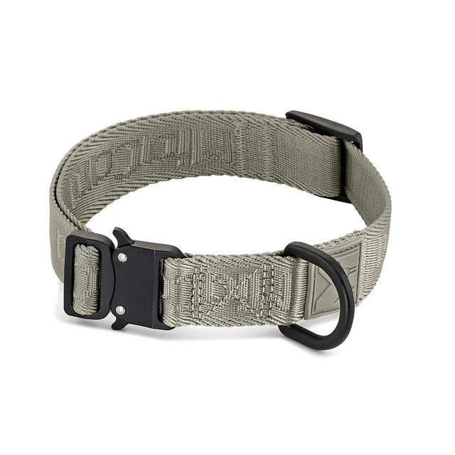 Modena - Dog Collar