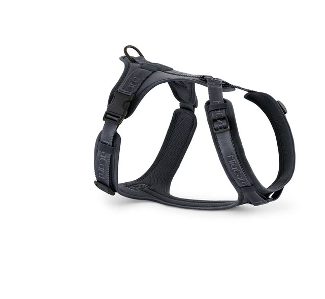 Modena - Dog Harness