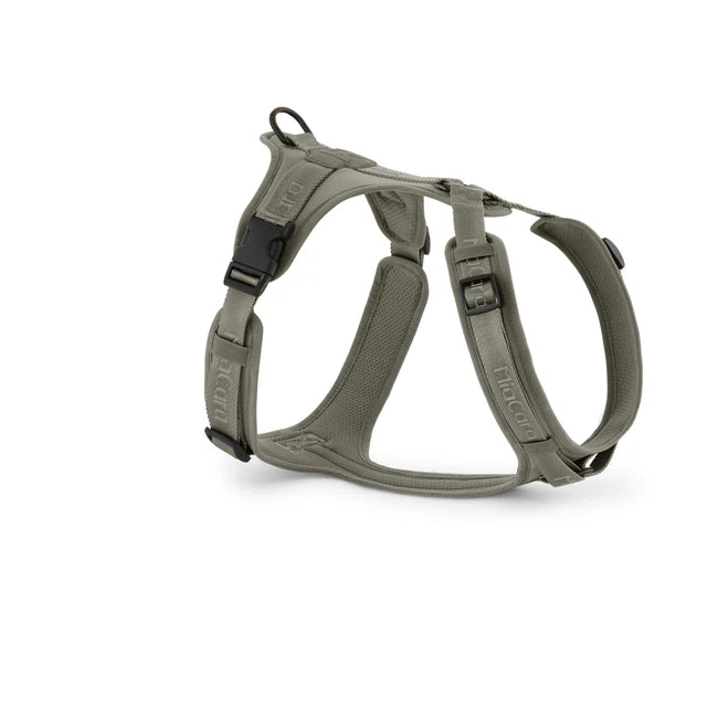 Modena - Dog Harness
