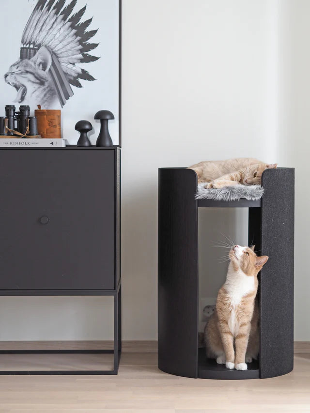Torre - Scratching Post