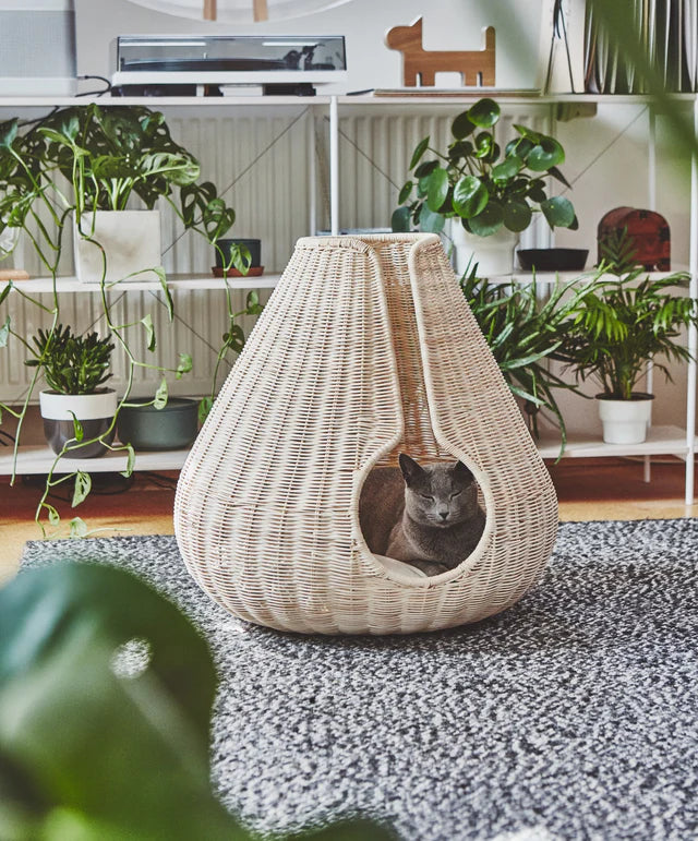 Perla - Cat Cave