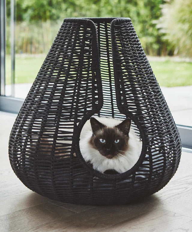 Perla - Cat Cave