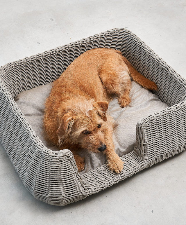 Mio - Dog basket