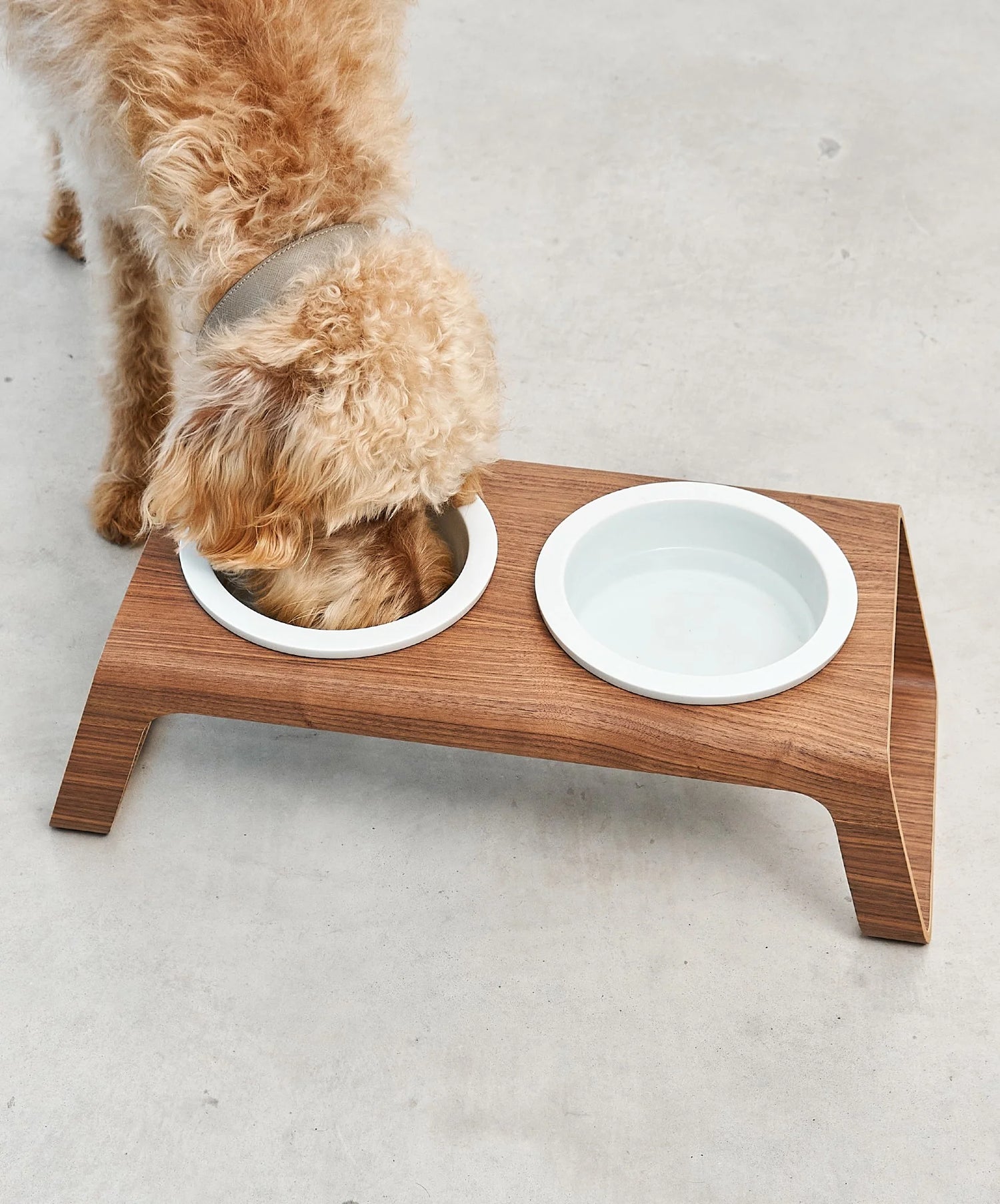 Desco - Dog Feeder with Porcelain Bowls
