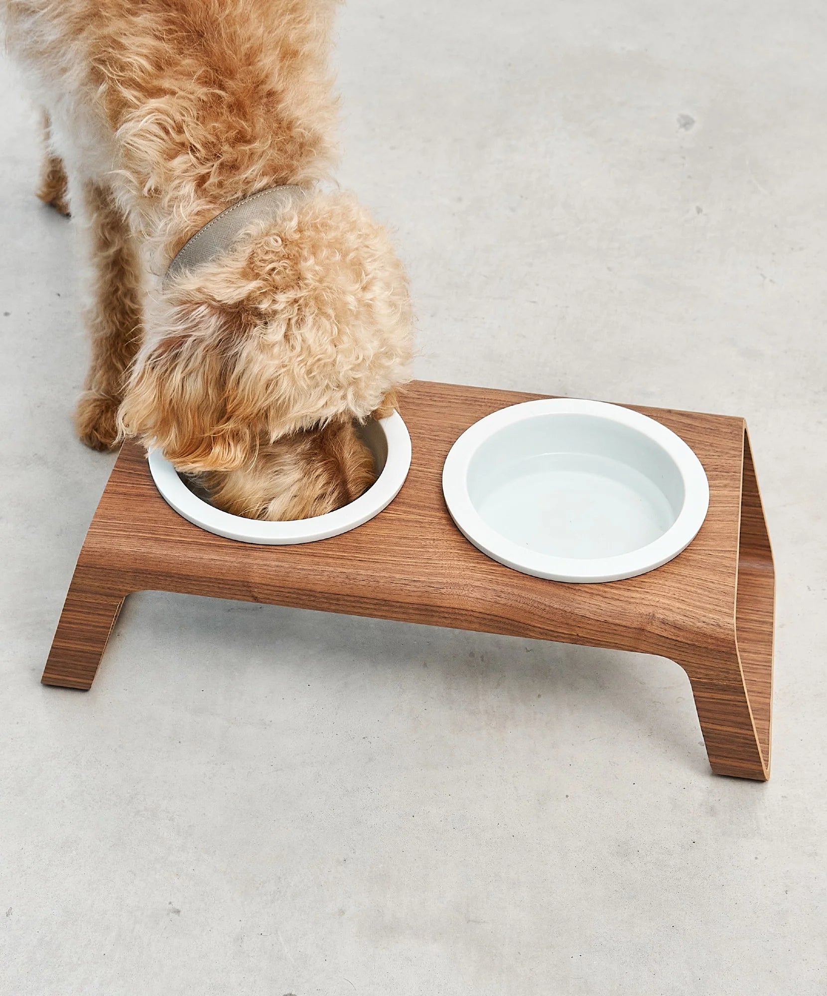 Desco - Dog Feeder with Porcelain Bowls