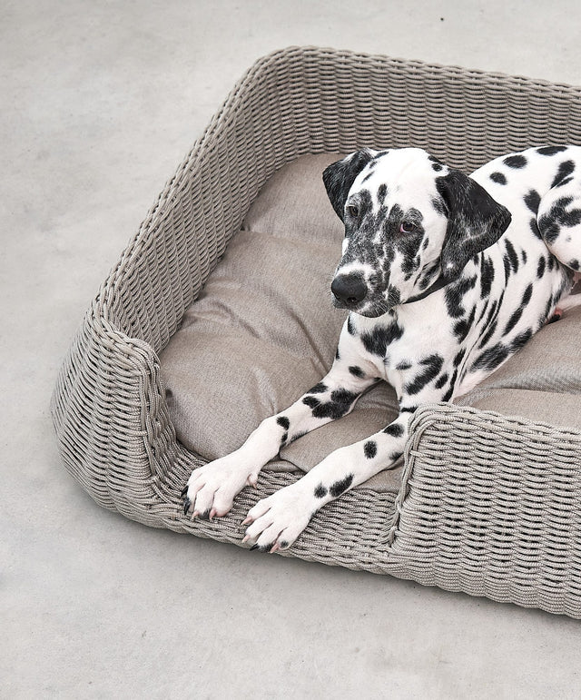 Mio - Dog basket