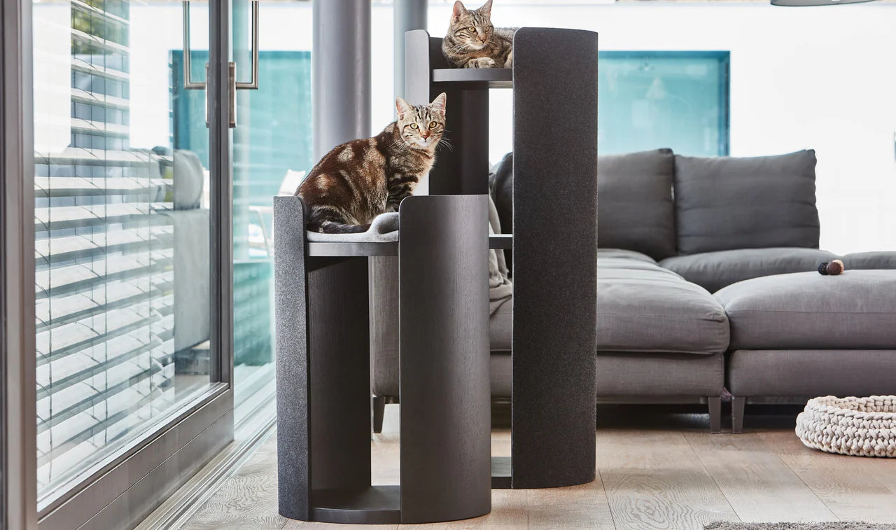 Torre - Scratching Post