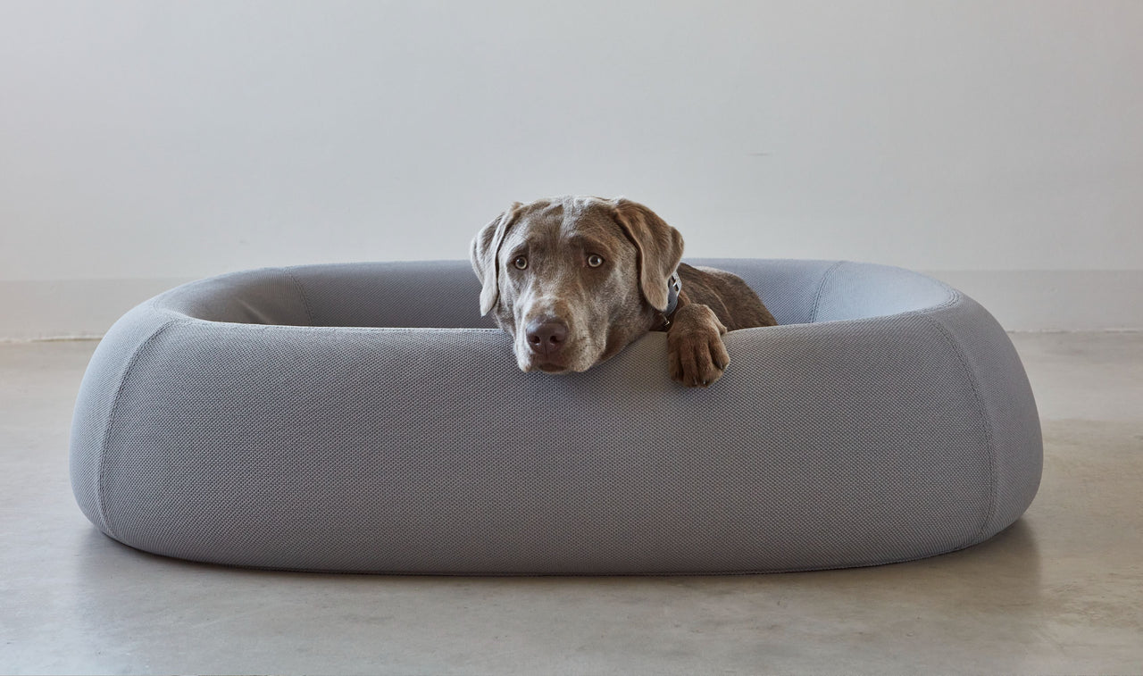 Barca - Dog Bed
