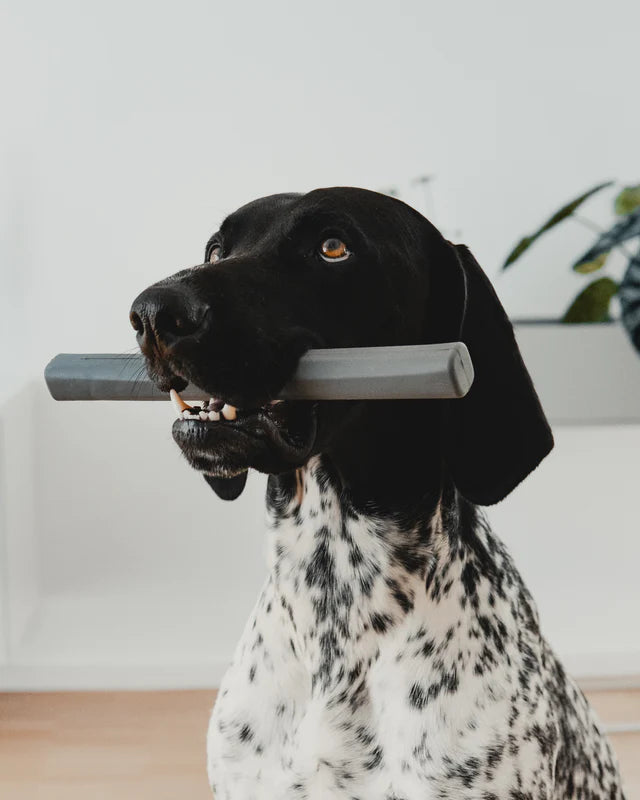 Ramo - Fetch Toy