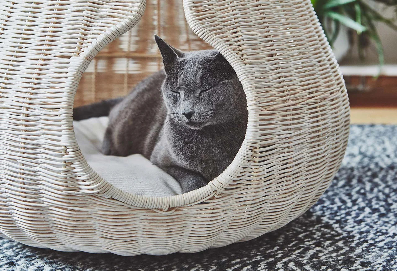 Perla - Cat Cave