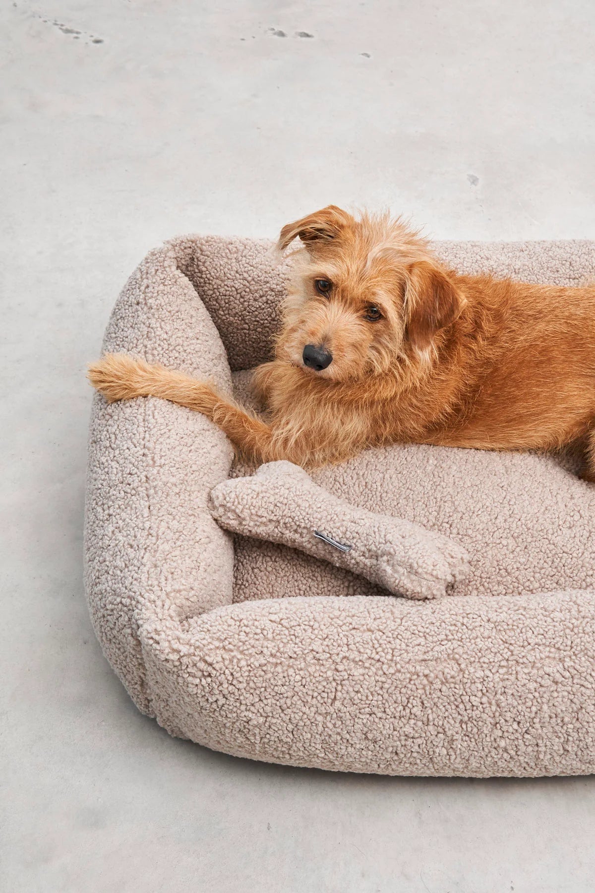 Panier pour chien Senso – Gris