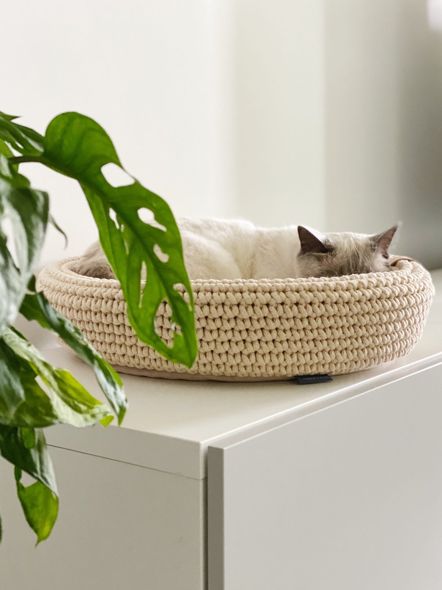 Coco Cat Basket