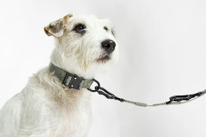 Modena - Long Leash
