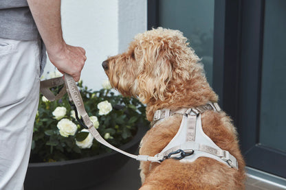 Modena - Long Leash