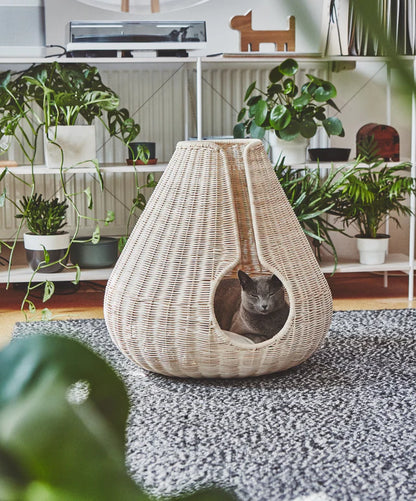 Perla - Cat Cave