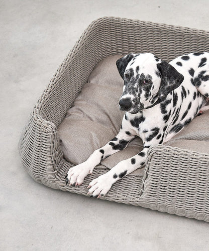 Mio - Dog basket