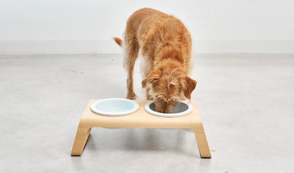 Desco - Dog Feeder with Porcelain Bowls