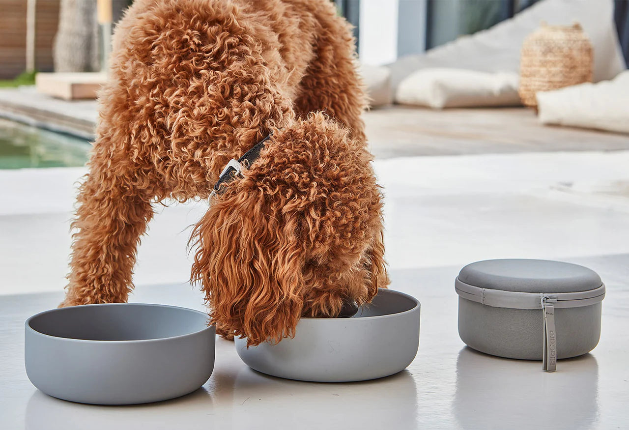 Bento - Reseskålar för Hund