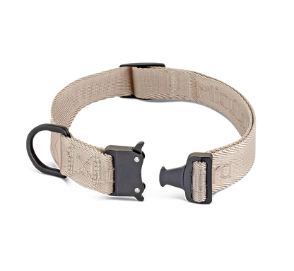 Modena - Dog Collar